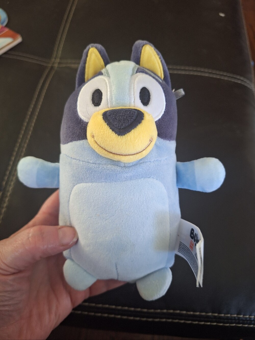 Bluey Toy